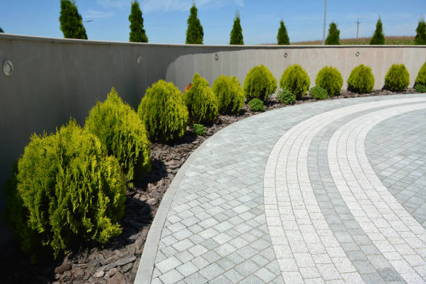 Reasons to Select Us for Your Driveway Paving Requirements in Clearview, WA